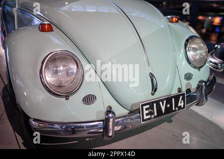 1966 Volkswagen 1300 Käfer im Rigaer Motormuseum. Nahaufnahme der Vorderseite. Riga, Lettland - 12. März 2023 Stockfoto