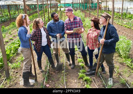 Ausgereifte Agrarwissenschaftlerin, die multikulturelle männliche und weibliche Landwirte über Tablet-PCs im Greenhouse erklärt Stockfoto