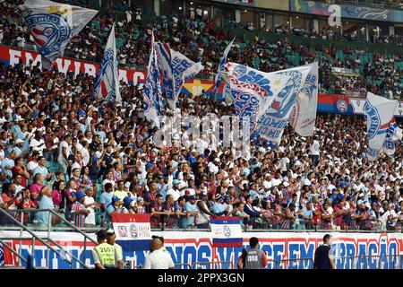 BA - SALVADOR - 04/24/2023 - BRASILEIRO A 2023, BAHIA X BOTAFOGO - Bahia Fans während eines Spiels gegen Botafogo im Stadion Arena Fonte Nova für die BRAZILEIRO A 2023 Meisterschaft. Foto: Walmir Cirne/AGIF/Sipa USA Stockfoto