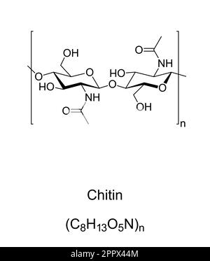 Chitin, chemische Struktur, Zellwandkomponente in Insektenexoskeletten Stock Vektor
