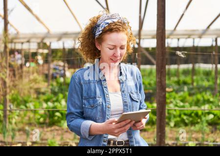 Blonde Landwirtin, die auf dem Bauernhof mit einem Tablet-PC steht Stockfoto