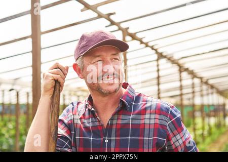 Lächelnder reifer männlicher Bauer, der im Gewächshaus wegschaut Stockfoto