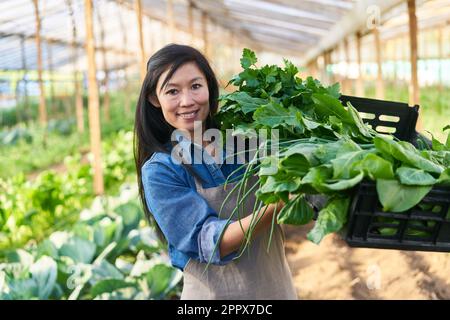 Porträt einer glücklichen Landwirtin mit frischem Blattgemüse aus biologischem Anbau in der Kiste auf dem Bauernhof Stockfoto