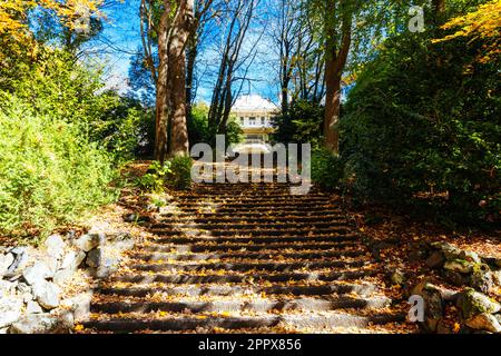 Alfred Nicholas Memorial Gardens in Australien Stockfoto