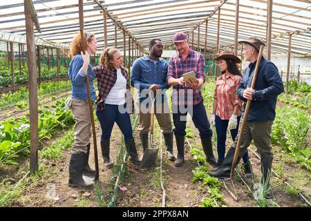 Landwirt erklärt multikulturelle männliche und weibliche Kollegen über einen Tablet-PC, während er im Gewächshaus mit Werkzeugen steht Stockfoto