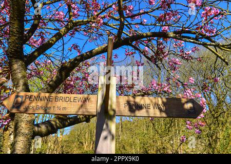 Wegweiser, Pennine Way, Pennine Bridleway Stockfoto