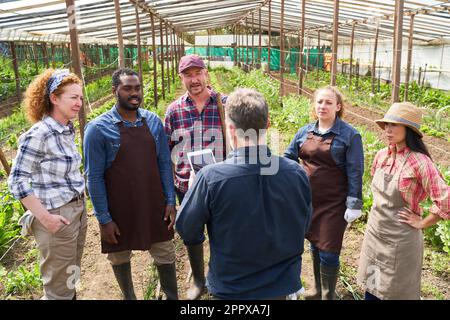 Reifer männlicher Landwirt erklärt dem multikulturellen Team die Strategie auf einem Tablet-PC im Greenhouse Stockfoto