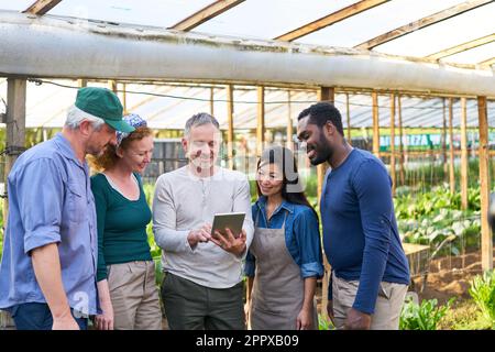 Lächelnder männlicher Agronomist, der multikulturelle Bauern auf einem digitalen Tablet auf einem Bio-Bauernhof erklärt Stockfoto