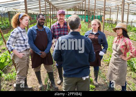 Männlicher Agrarwissenschaftler diskutiert mit Landwirten, während er auf dem Biobauernhof steht Stockfoto