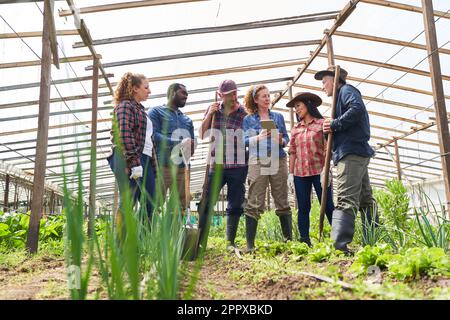 Landwirt erklärt multikulturelle männliche und weibliche Kollegen, die über einen Tablet-PC diskutieren, während sie im Gewächshaus stehen Stockfoto