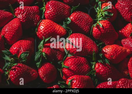 Hintergrund aus erntefrischen Erdbeeren direkt über Stockfoto