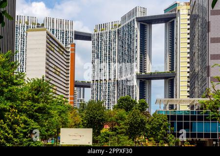 Das Pinnacle@Duxton ist ein öffentliches Wohnhaus im Tanjong Pagar-Viertel von Singapur. Stockfoto