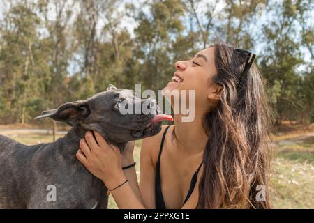 Seitenansicht einer jungen Eigentümerin, die reinrassigen italienischen Mastiff-Hund streichelt und küsst, während sie sich zusammen am Teich im Park ausruht Stockfoto