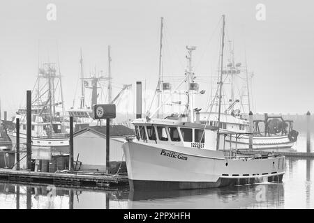 Newport, Oregon, ist die „Dungeness Crab Capital of the World“. Newports Flotte kommerzieller Fischerboote befindet sich in der Yaquina Bay. Stockfoto