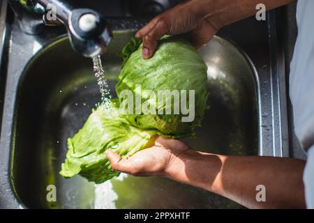 Der große Winkel eines unbekannten afroamerikanischen Chefkochs wäscht frischen grünen Eisbergsalat in einem Metallwaschbecken mit Wasser, während er gesunden Salat in der Küche kocht Stockfoto