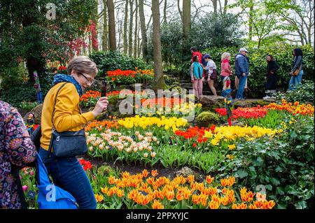 Besucher werden beim Spaziergang durch den Garten gesehen. Keukenhof ist auch bekannt als der Garten Europas, einer der weltweit größten Blumengärten und befindet sich in Lisse, den Niederlanden. Zusätzlich zu den Millionen Tulpen, Narzissen und Hyazinthen im Park ist die Blume in den Pavillons größer und schöner geworden. Bis zum 14. Mai 2023 werden voraussichtlich weit über 1 Millionen Menschen aus der ganzen Welt die Ausstellung besuchen. Damit leistet der Keukenhof einen wichtigen Beitrag für den niederländischen Tourismus- und Blumenzuchtsektor. Stockfoto