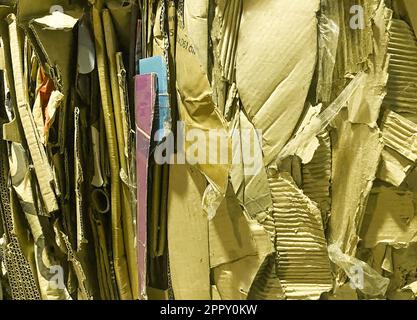 Paket aus buntem Altpapierkarton, das recycelt werden soll. Papierkarton wird zu Ballen gebündelt. Recycelter Hintergrund. Stockfoto