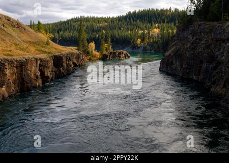 Der Yukon River führt durch Miles Canyon, in der Nähe von Whitehorse, Yukon Territory, Kanada. Stockfoto