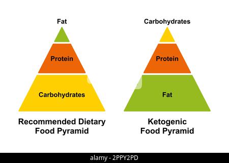 Empfohlene diätetische Lebensmittelpyramide und ketogene Lebensmittelpyramide, vereinfachte Tabelle Stock Vektor