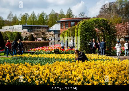 23. April 2023, Lisse, Niederlande: Man sieht Leute, die Fotos durch die Blumen machen. Keukenhof ist auch bekannt als der Garten Europas, einer der weltweit größten Blumengärten und befindet sich in Lisse, den Niederlanden. Zusätzlich zu den Millionen Tulpen, Narzissen und Hyazinthen im Park ist die Blume in den Pavillons größer und schöner geworden. Bis zum 14. Mai 2023 werden voraussichtlich weit über 1 Millionen Menschen aus der ganzen Welt die Ausstellung besuchen. Damit leistet der Keukenhof einen wichtigen Beitrag für den niederländischen Tourismus- und Blumenzuchtsektor. (Kreditbild: © Ana Fernand Stockfoto