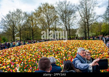 23. April 2023, Lisse, Niederlande: Menschen werden dabei gesehen, wie sie Selfies vor einem Blumenberg machen. Keukenhof ist auch bekannt als der Garten Europas, einer der weltweit größten Blumengärten und befindet sich in Lisse, den Niederlanden. Zusätzlich zu den Millionen Tulpen, Narzissen und Hyazinthen im Park ist die Blume in den Pavillons größer und schöner geworden. Bis zum 14. Mai 2023 werden voraussichtlich weit über 1 Millionen Menschen aus der ganzen Welt die Ausstellung besuchen. Damit leistet der Keukenhof einen wichtigen Beitrag für den niederländischen Tourismus- und Blumenzuchtsektor. (Kreditbild Stockfoto