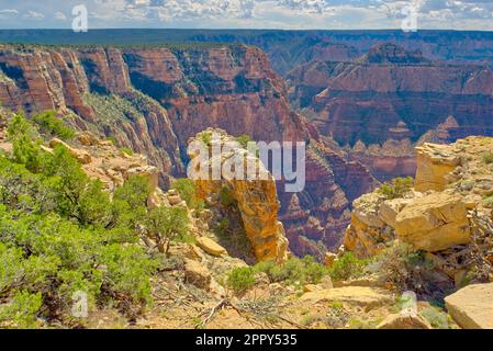 Ein Felsturm, der von der Felswand westlich von Zuni Point am Grand Canyon Arizona getrennt ist. Stockfoto