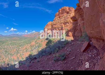 Die Westwand der steilen Klippe auf dem Südgipfel des Cockscomb Butte in Sedona, Arizona. Stockfoto