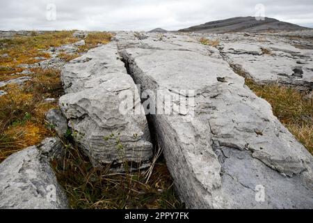 Grikes (offene Risse) und Kränze (flache Felsabschnitte) im Kalksteinpflaster burren National Park burren County clare republic of ireland Stockfoto