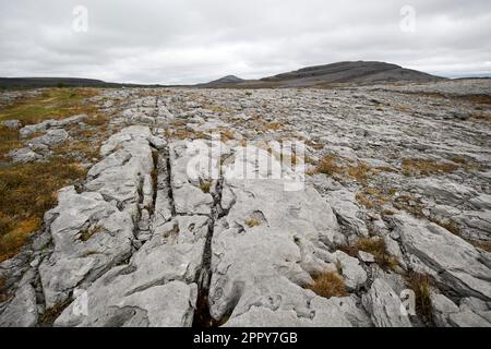 Grikes (offene Risse) und Kränze (flache Felsabschnitte) im Kalksteinpflaster burren National Park burren County clare republic of ireland Stockfoto