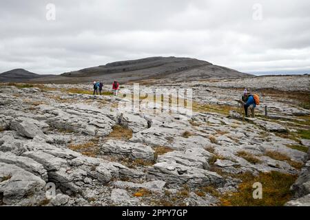 Wanderwege durch den burren-Nationalpark in der burren County clare republic of ireland Stockfoto