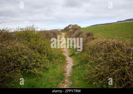 Hungerhilfsstraße oder Hungerstraße in der Nähe von Fanore im burren County clare republik irland Hungerstraßen waren das Ergebnis eines öffentlichen Bauplans Stockfoto