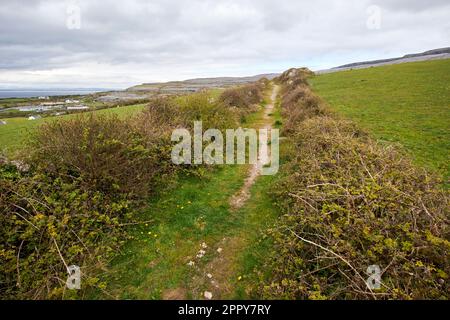 Hungerhilfsstraße oder Hungerstraße in der Nähe von Fanore im burren County clare republik irland Hungerstraßen waren das Ergebnis eines öffentlichen Bauplans Stockfoto