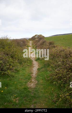 Hungerhilfsstraße oder Hungerstraße in der Nähe von Fanore im burren County clare republik irland Hungerstraßen waren das Ergebnis eines öffentlichen Bauplans Stockfoto