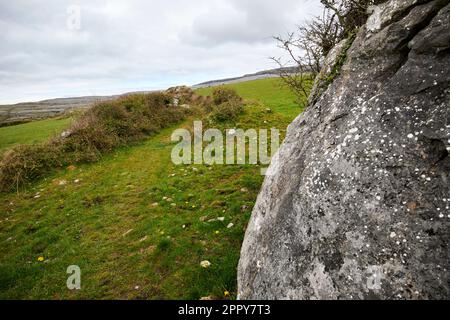 Felsen, die den Beginn einer Hungerhilfsstraße oder einer Hungerstraße in der Nähe von Fanore im burren County markieren, waren das Ergebnis von Stockfoto