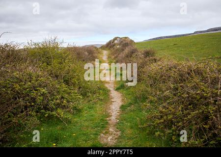 Hungerhilfsstraße oder Hungerstraße in der Nähe von Fanore im burren County clare republik irland Hungerstraßen waren das Ergebnis eines öffentlichen Bauplans Stockfoto