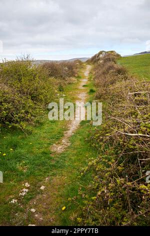 Hungerhilfsstraße oder Hungerstraße in der Nähe von Fanore im burren County clare republik irland Hungerstraßen waren das Ergebnis eines öffentlichen Bauplans Stockfoto