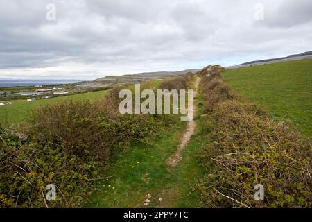 Hungerhilfsstraße oder Hungerstraße in der Nähe von Fanore im burren County clare republik irland Hungerstraßen waren das Ergebnis eines öffentlichen Bauplans Stockfoto