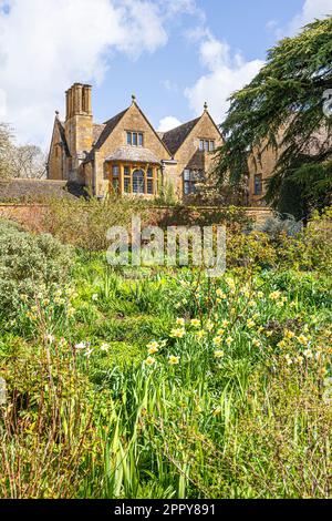 Frühling im Hidcote Manor Garden im Dorf Cotswold in Hidcote Bartrim, Gloucestershire, England Stockfoto