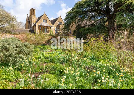 Frühling im Hidcote Manor Garden im Dorf Cotswold in Hidcote Bartrim, Gloucestershire, England Stockfoto