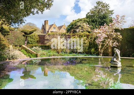 Frühling im Hidcote Manor Garden im Dorf Cotswold in Hidcote Bartrim, Gloucestershire, England Stockfoto