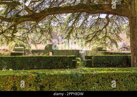 Frühling im Hidcote Manor Garden im Dorf Cotswold in Hidcote Bartrim, Gloucestershire, England Stockfoto