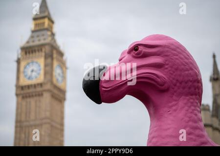 Ein riesiger rosa Dodo - der ausgestorbene fluglose Vogel - erscheint vor dem Parlament während der "Großen" Klimaproteste, die von der Aussterbens-Rebellion ausgerufen wurden. Stockfoto