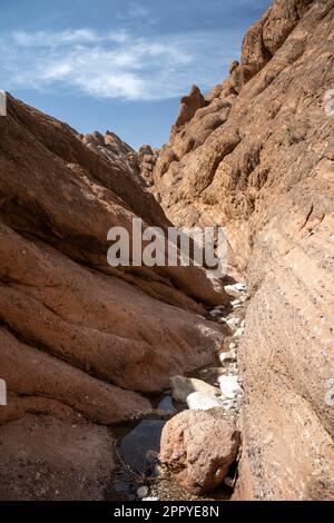 Felsformationen, bekannt als Affenfinger im Dades-Tal. Stockfoto