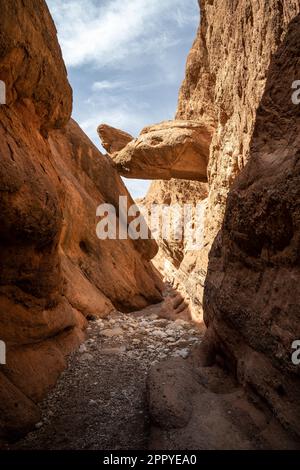 Felsformationen, bekannt als Affenfinger im Dades-Tal. Stockfoto