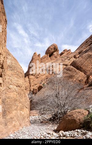 Felsformationen, bekannt als Affenfinger im Dades-Tal. Stockfoto