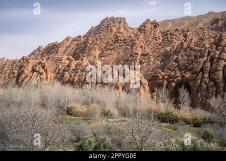 Felsformationen, bekannt als Affenfinger im Dades-Tal. Stockfoto