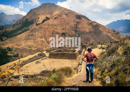 Ein männlicher Tourist, der die Ruinen von Pisac im Heiligen Tal der Inka, Peru, betrachtet Stockfoto