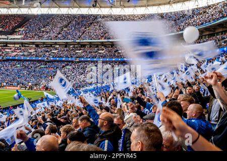 Brighton und Hove Albion Fußball-Fans (mehr als 36.000) erwarten den Start des FA Cup Semi Final 2023, Wembley Stadium, London, Großbritannien Stockfoto