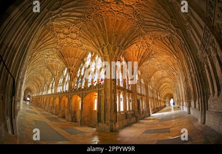 The Cloisters of Gloucester Cathedral, Gloucestershire, Großbritannien Stockfoto