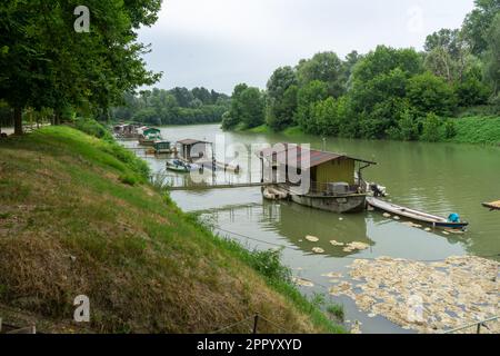 Fahrradtour am rechten Ufer des Flusses Po Stockfoto